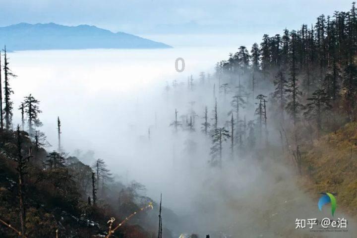 企业合规师考试网:哪些首席合规官备考指南必看？3月30日考！